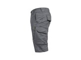 Leibwachter FLEX-LINE  Short Grijs/Zwart 52