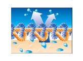 32073  functionele sokken 43